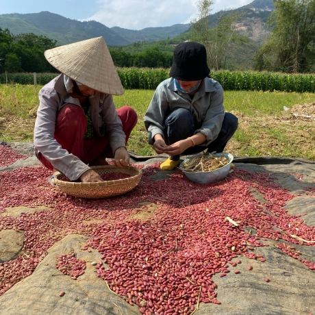 Bột ngũ cốc cao cấp